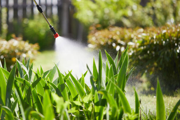 24/7 Emergency Wasp Removal experts in Luverne, MN