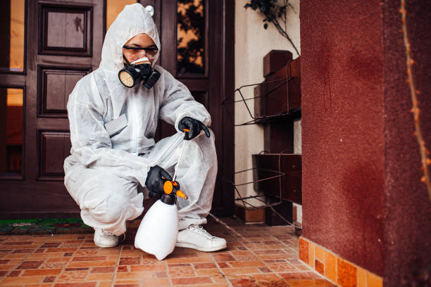 Reliable Wasp Removal contractor in Luverne, MN by Show Me Pest Control